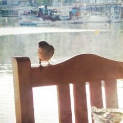 The Visitor