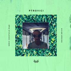 Sonic Cocktails 096 - Ptrovici