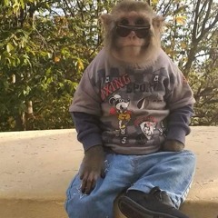 Davus x Sexy Drill Type Beat "UN PAR DE SECUENCIAS"