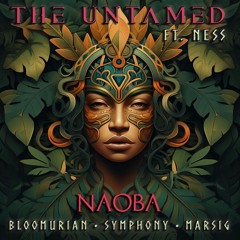 NAOBA - The Untamed (Symphony Tabla Remix)