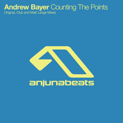 Andrew Bayer - Counting The Points