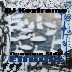 DJ Keyframe - Common Side Effects
