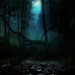 Forest Dreams