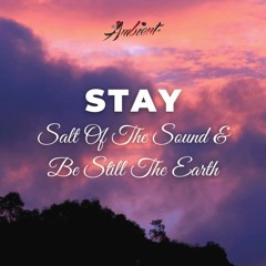 Salt Of The Sound & Be Still The Earth - Stay