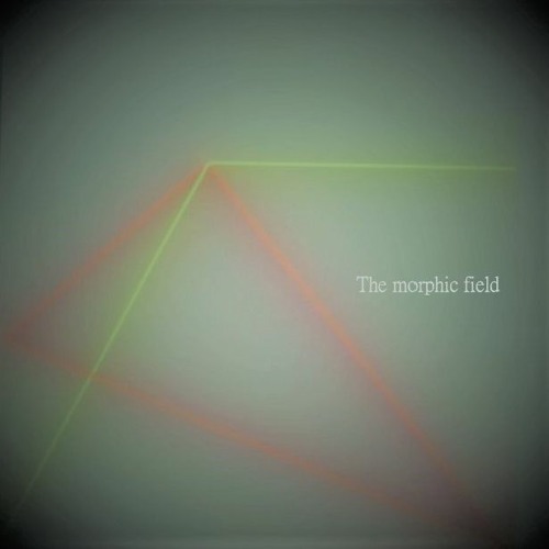 The morphic field