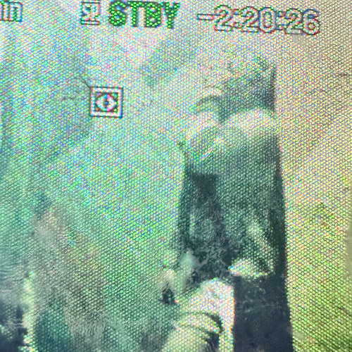 Zotaiga - Want Me 2 Lose prod.Markcus  x Pbyoscar