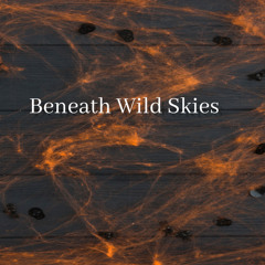 Beneath Wild Skies
