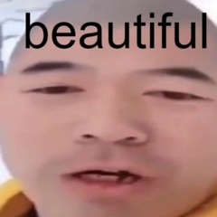 XUE HUA PIAO PIAO