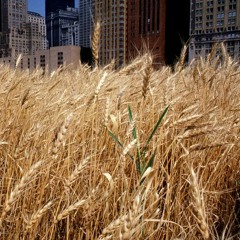 Number 47 Disco Funk