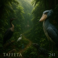 TAFFETA | 241