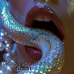 Groove Du Brazil