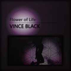Prism Of Bliss - Vince Black
