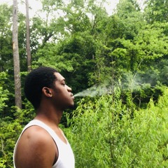 Twiggin Up