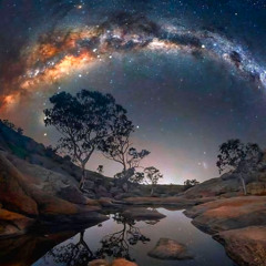 MISS ROXY -  Goodbye my Soulsister Jessi Lemme - 30.12.2025