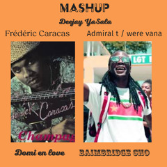 Mashup  Frederic Caracas / Admiral T feat Were vana