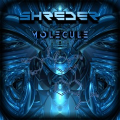 Shreder - Molecule (orginal Mix)