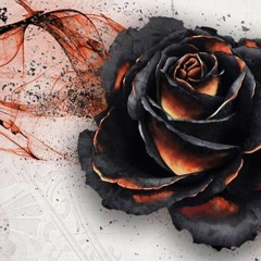 blackRoses