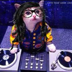 Skrillex cat