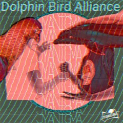 JYANIGMA  - BIRD FREE FALL : DOLPHIN AWARENESS Ft Big Pharma