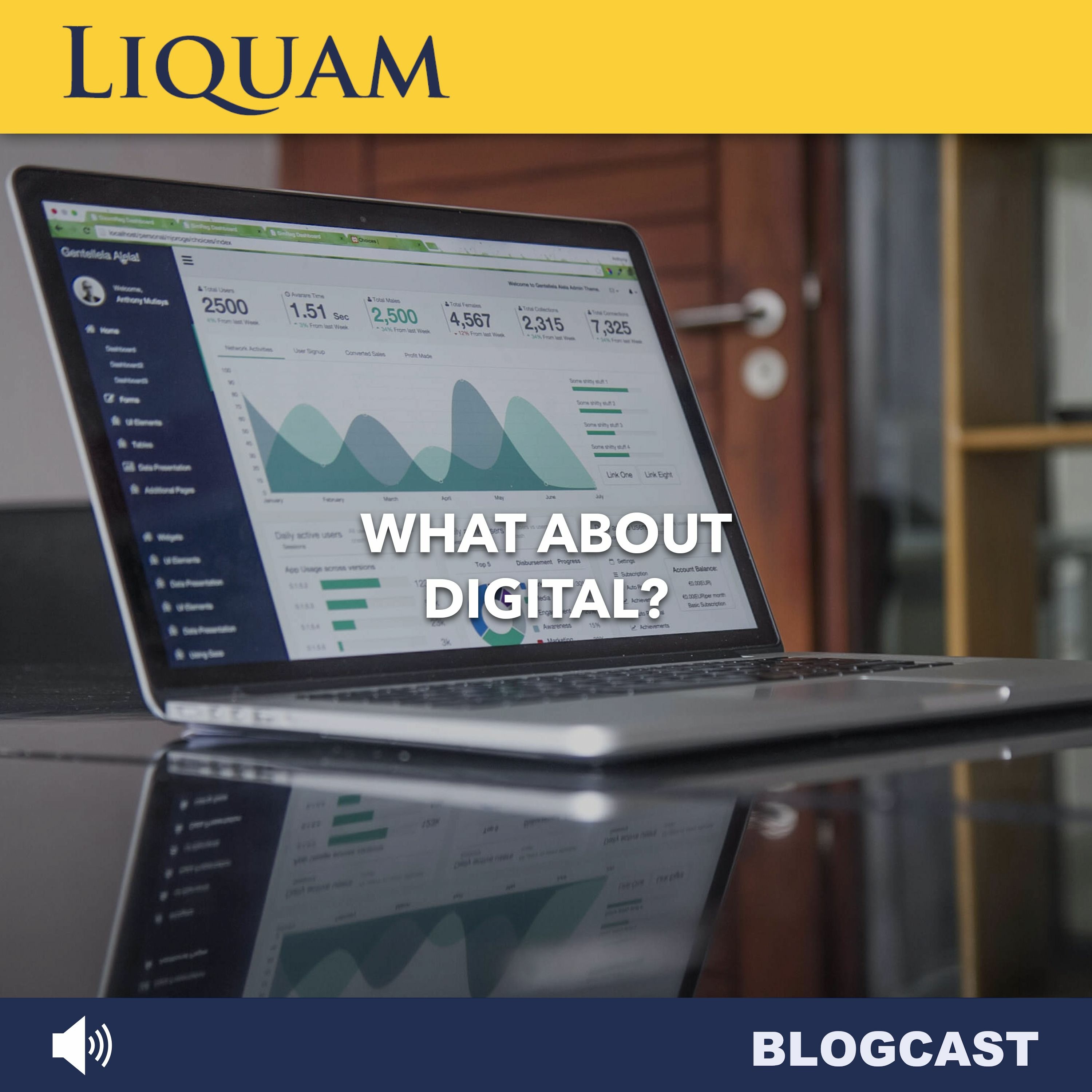 Liquam