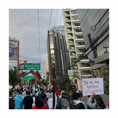 Voices from Palestine solidarity protests in Mexico City