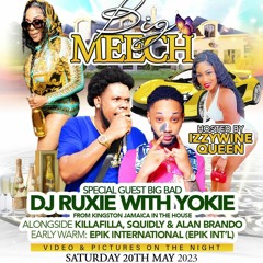 BIG MEECH PARTY PROMO