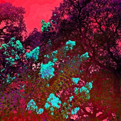 [gal!ka]S.T.O.S(bad/good)trip