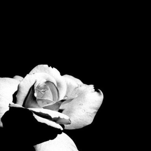 زهور  - أمل دنقل