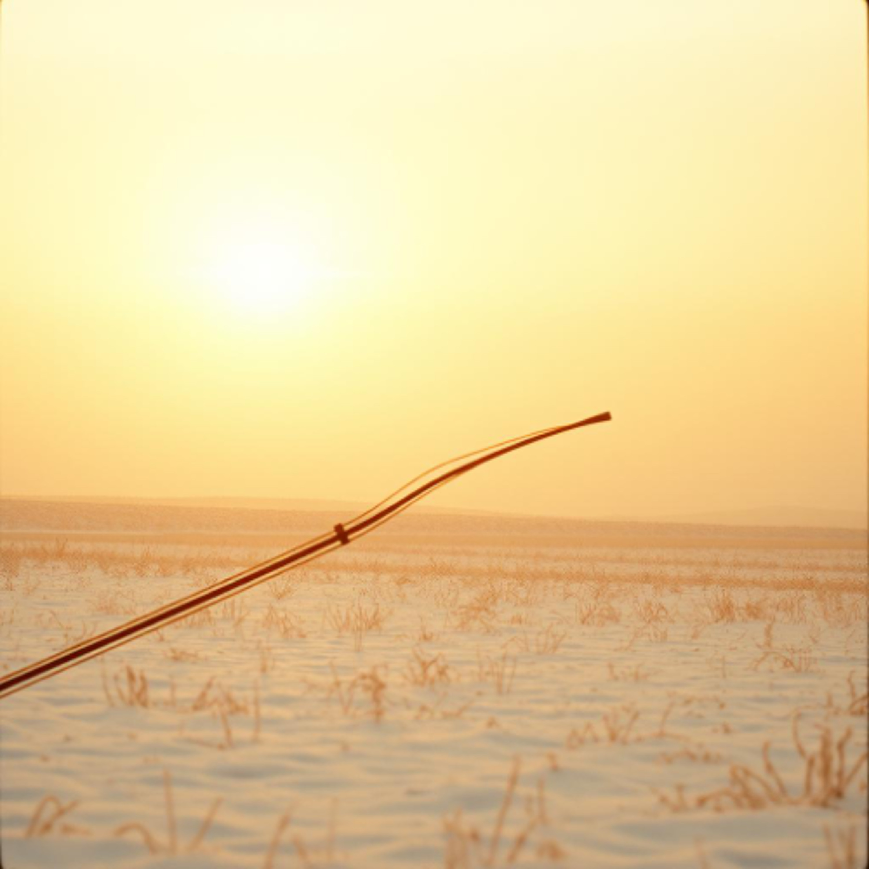 🎶 Winter’s Evening Light