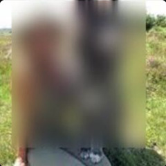 [News Full 18+] 2 wolf one girl viral video one girl one wolf two wolf one girl viral video