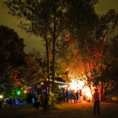 Son of a Beach @ Wohnzimmer Rave im Park 2025 _Part 2