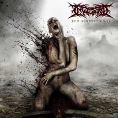 Manifesting Obscenity (Redux)