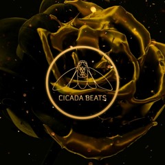 [FREE] Pop Smoke X 22Gz X UK - NY Drill Type Beat - 'PUMP ACTION' 2020