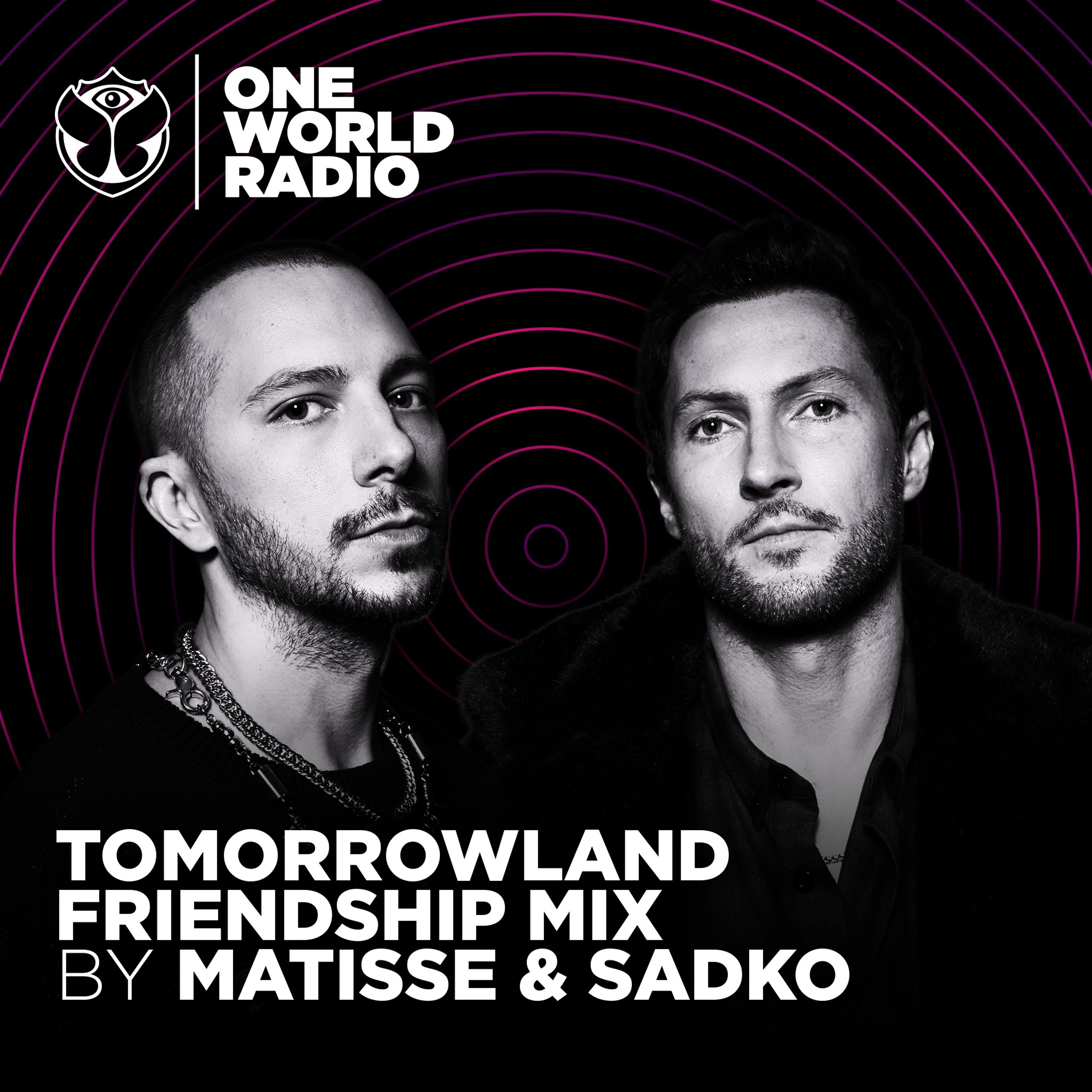 Tomorrowland Friendship Mix