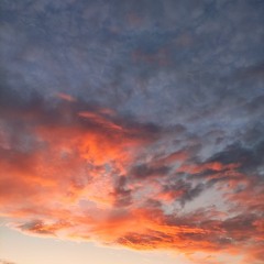 Cassanova - you are weak (slowed+reverb)