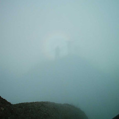 Soft Signal - Even Hex