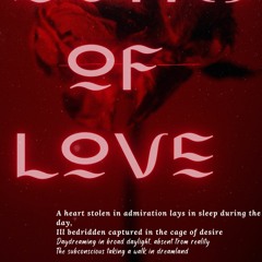 The Poetry Of Love a Continuation