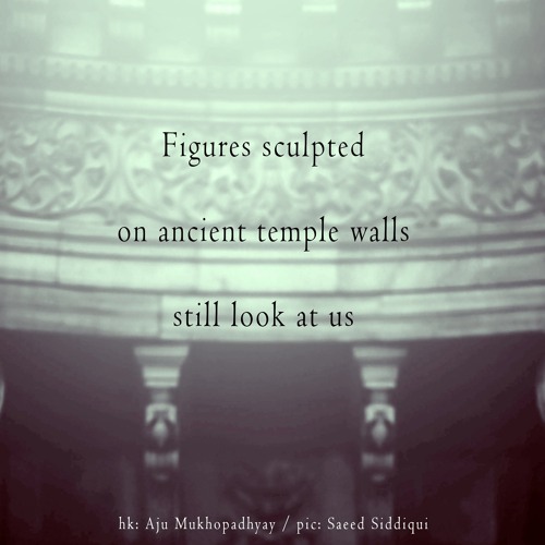 halF sculpteD [naviarhaiku321]