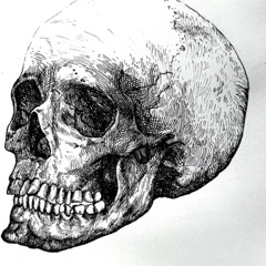 ONNA DAILY [prod. cash cadence]