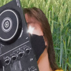 TA VENTANO PRA CARALHO [ HIGH SPEED DJ NONSEN RMX ]