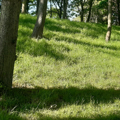 Misty Morning Petrichor for Flute and Violoncello (2024)