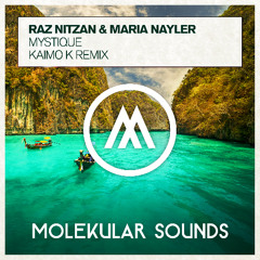 Raz Nitzan & Maria Nayler - Mystique (Kaimo K Remix)