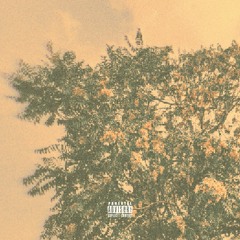 Am I A Deity(w/ KhO)