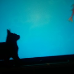 trancendence 5th birthday  warm up mix