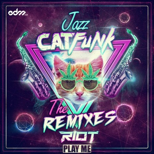 Riot - Jazz Cat Funk (Pane Mua Remix)