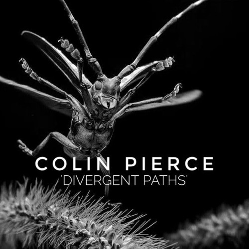 Guest Mix Vol. 306 'Divergent Paths' (Colin Pierce) Progressive House/Trance