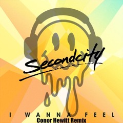 I WANNA FEEL REMIX