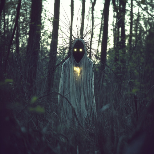 The Akida - BapChef - I AM PTECH