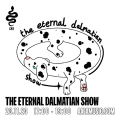 The Eternal Dalmatian Show - Aaja Channel 2 - 23 11 23
