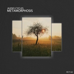 PREMIERE: Audio Cycles - Metamorphosis [Polyptych]